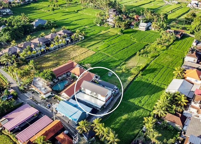 White Blue House - Private Room, Shared Pool And Kitchen - 4 Ubud